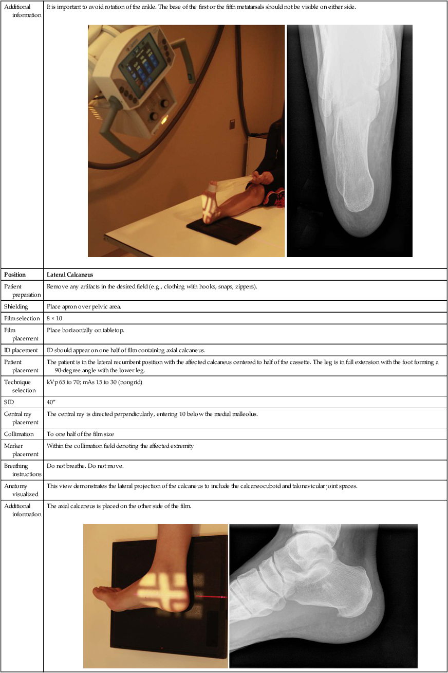 travel xray positions