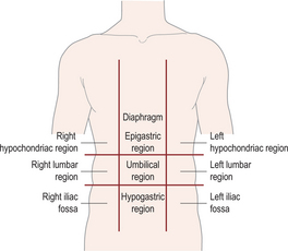 A | Radiology Key