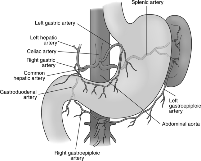 Abdominal Aortography and Genitourinary System Procedures | Radiology Key