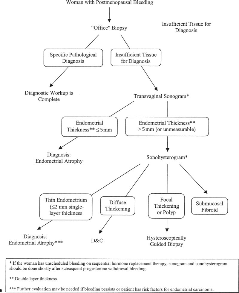 The Innovative Continuum of Ob/Gyn Care: Post-Menopausal Bleeding:Evaluation  and Management 