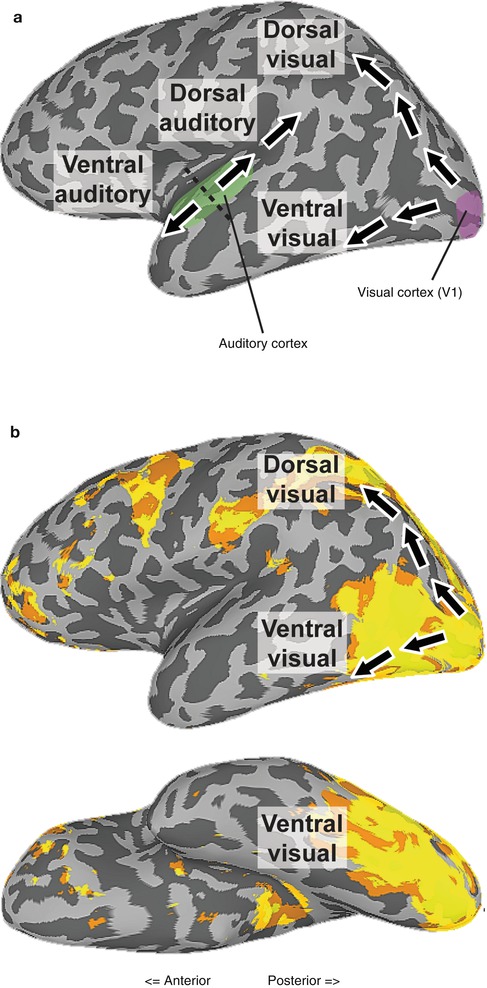 A214842_1_En_9_Fig3_HTML.jpg