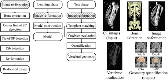 A218098_1_En_7_Fig7_HTML.gif