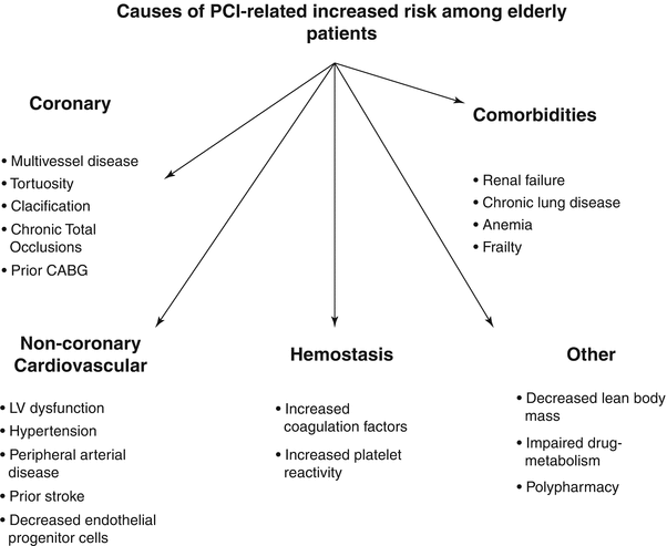 Percutaneous Coronary Interventions in the Elderly | Radiology Key