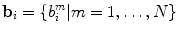 $$\mathbf {b}_i = \lbrace b_i^m \vert m=1,\ldots ,N \rbrace $$