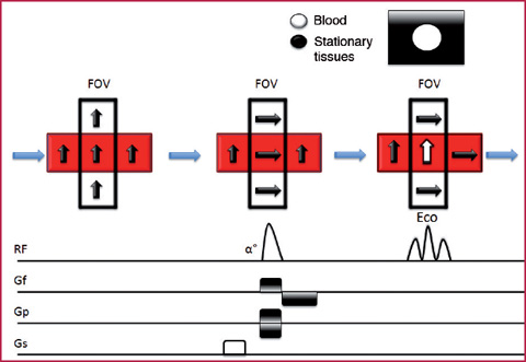 A978-88-470-2868-5_2_Fig3_HTML.jpg