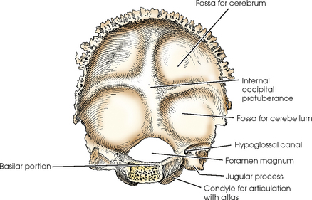 Skull Radiology Key