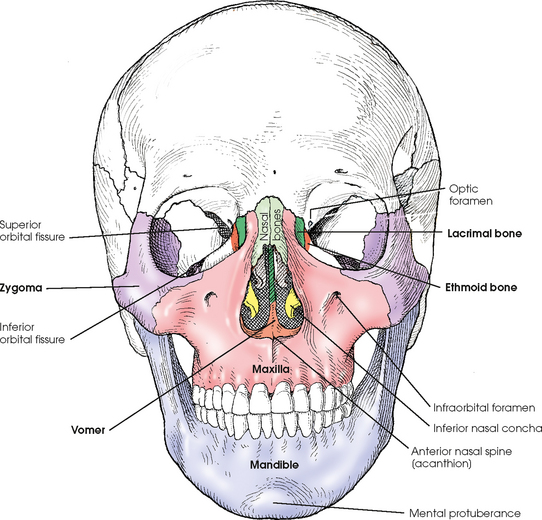 Facial Sutures