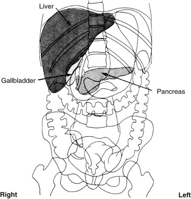 Hepatobiliary System | Radiology Key