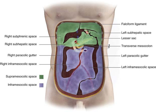 Pelvic Vs Peritoneal Cavity