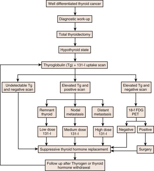 Imaging In Thyroid Cancer Radiology Key 0465