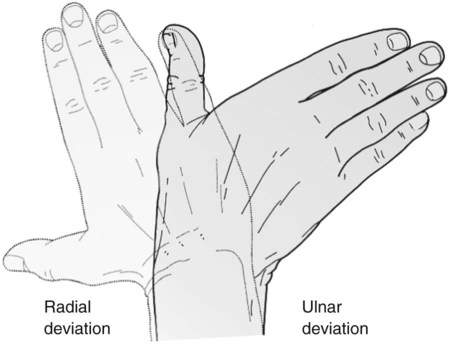 Upper Limb and Shoulder Girdle | Radiology Key