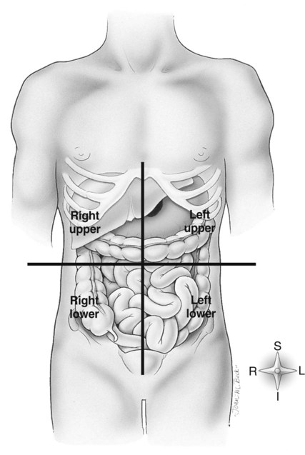 Bony Thorax Chest And Abdomen Radiology Key