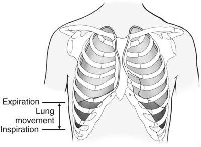 Bony Thorax, Chest, and Abdomen | Radiology Key