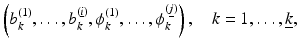 $$\displaystyle{\left (b_{k}^{(1)},\ldots,b_{ k}^{(\underline{i})},\phi _{ k}^{(1)},\ldots,\phi _{ k}^{(\underline{j})}\right ),\quad k = 1,\ldots,\underline{k},}$$