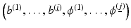 $$\left (b^{(1)},\ldots,b^{(\underline{i})},\phi ^{(1)},\ldots,\phi ^{(\underline{j})}\right )$$