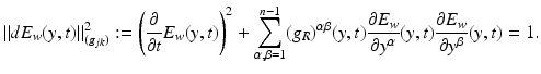 $$\displaystyle{\|dE_{w}(y,t)\|_{(g_{jk})}^{2}:= \left ( \frac{\partial } {\partial t}E_{w}(y,t)\right )^{2} +\sum _{ \alpha,\beta =1}^{n-1}(g_{ R})^{\alpha \beta }(y,t)\frac{\partial E_{w}} {\partial y^{\alpha }} (y,t)\frac{\partial E_{w}} {\partial y^{\beta }} (y,t) = 1.}$$