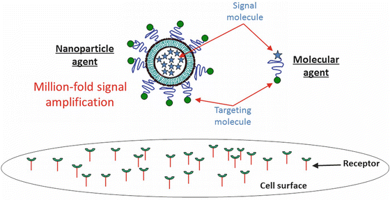 A191776_1_En_14_Fig5_HTML.gif