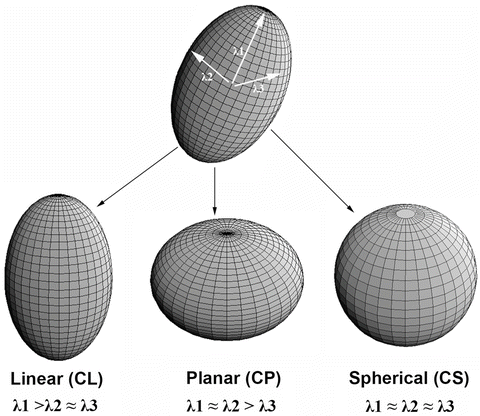 A191776_1_En_2_Fig1_HTML.gif