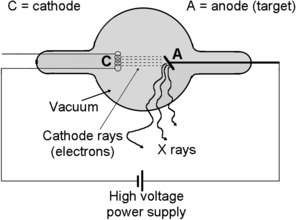 A212719_1_En_14_Fig2_HTML.gif