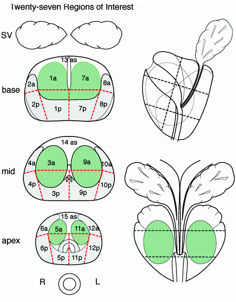 A214191_1_En_10_Fig2_HTML.gif