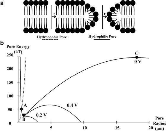 A214191_1_En_23_Fig1_HTML.gif