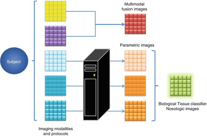 A272994_1_En_23_Fig6_HTML.jpg