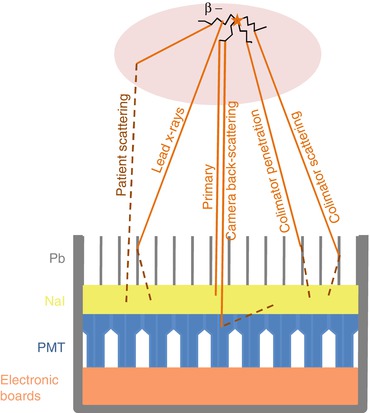 A310314_1_En_13_Fig2_HTML.jpg