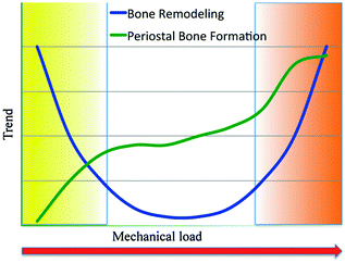 A978-88-470-5483-7_3_Fig2_HTML.gif