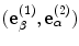 
$$( \mathbf{e}_{\beta }^{(1)},\mathbf{e}_{\alpha }^{(2)} )$$
