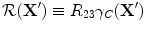 
$${\cal R}({\bf{X'}}) \equiv R_{23} \gamma _C ({\bf{X'}})$$
