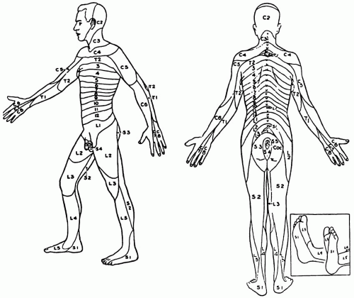 Dermatomes | Radiology Key