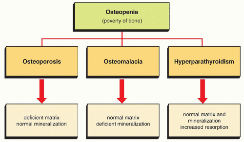 osteomalacia vs osteoporosis