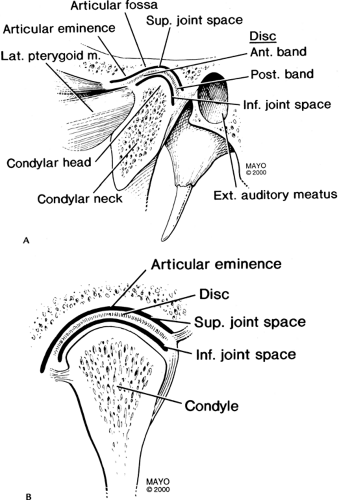 Temporomandibular Joint Anatomy