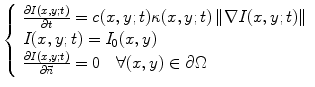 
$$ \left\{ {\begin{array}{ll} {\frac{{\partial I(x,y;t)}}{{\partial t}}=c(x,y;t)\kappa (x,y;t)\left\| {\nabla I(x,y;t)} \right\|} \hfill \\ {I(x,y;t)={I_0}(x,y)} \hfill \\ {\frac{{\partial I(x,y;t)}}{{\partial \vec{n}}}=0\quad \forall (x,y)\in \partial \Omega } \hfill \\ \end{array}} \right. $$
