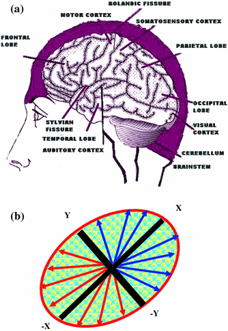 A300799_1_En_3_Fig1_HTML.gif