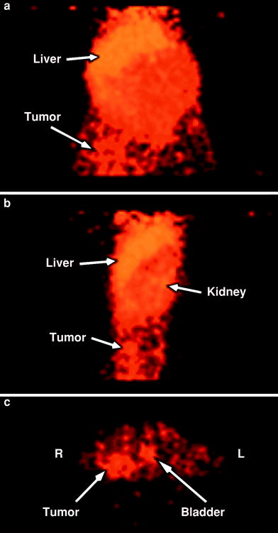 High Affinity Ligands: A New Class of Targeting Agents for Cancer ...