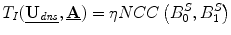 
$$ {T}_I(\underline{{\mathbf{U}}_{\mathit{dns}}},\underline{\mathbf{A}})=\eta NCC\left({B}_0^S,{B}_1^S\right) $$
