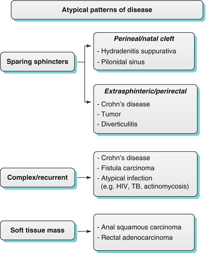 MRI for Perianal Fistula | Radiology Key