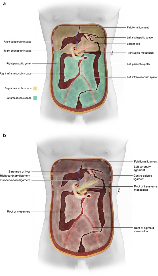 A303228_1_En_16_Fig2a_HTML.jpg