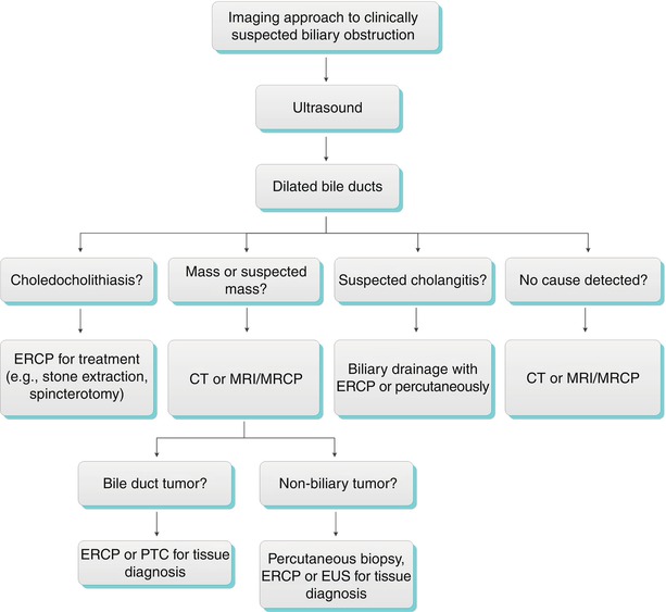 bile duct dilation symptoms