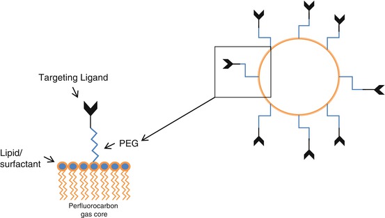 A318602_1_En_2_Fig5_HTML.jpg