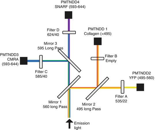 A318602_1_En_7_Fig4_HTML.jpg