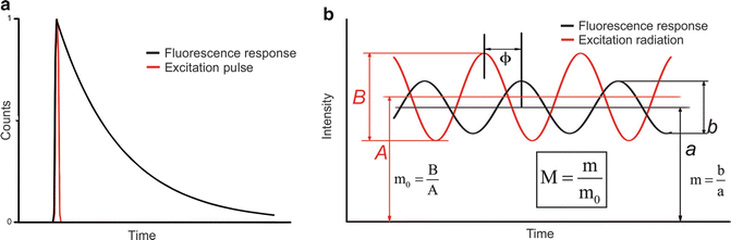 A318927_1_En_1_Fig2_HTML.gif