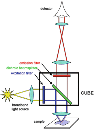 A318927_1_En_1_Fig4_HTML.gif