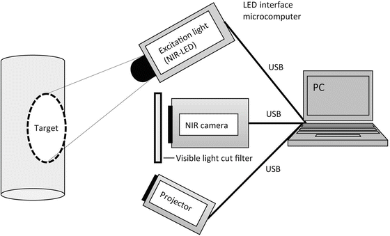 A318927_1_En_4_Fig2_HTML.gif