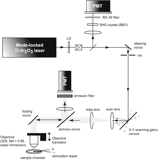 A320817_1_En_17_Fig5_HTML.gif