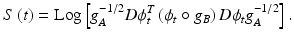 $$ S\left( t \right) = {\text{Log}}\left[ {g_{A}^{ - 1/2} D\phi_{t}^{T} \left( {\phi_{t} \circ g_{B } } \right)D\phi_{t} g_{A}^{ - 1/2} } \right]. $$