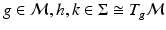 $$ g \in {\mathcal{M}}, h,k \in {\Sigma } \cong T_{g} {\mathcal{M}} $$