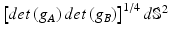 $$ \left[ {det\left( {g_{A} } \right)det\left( {g_{B} } \right)} \right]^{1/4} d{\mathbb{S}}^{2} $$