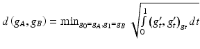 $$ d\left( {g_{A} ,g_{B} } \right) = \min_{{g_{0} = g_{A} ,g_{1} = g_{B} }} \sqrt {\mathop \smallint \limits_{0}^{1} \left( {g^{\prime}_{t} ,g^{\prime}_{t}  } \right)_{{g_{t} }} dt} $$